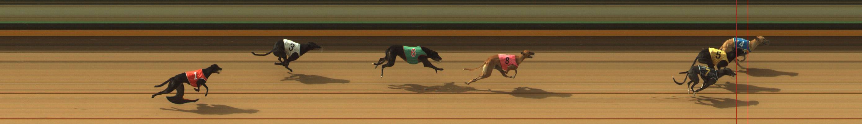 Race result finish photo